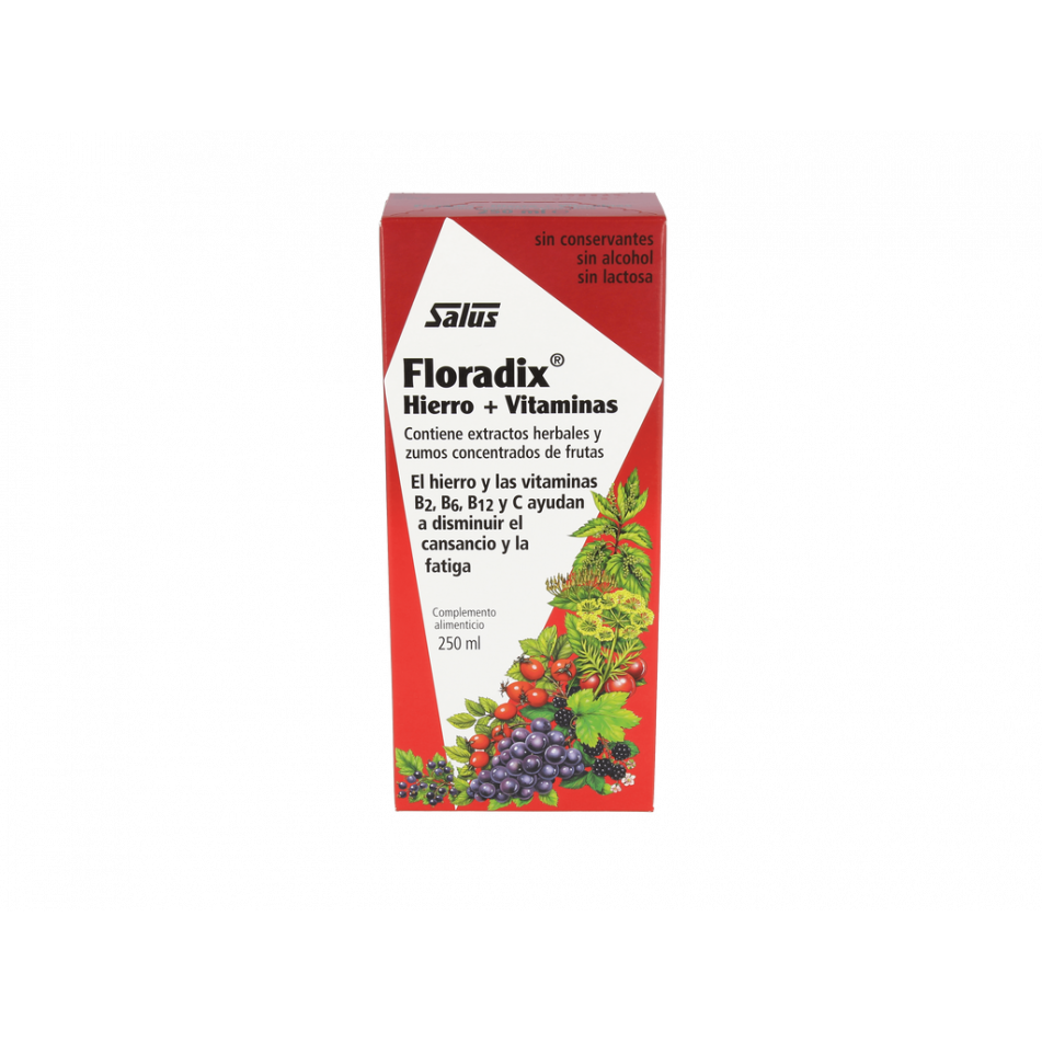 Salus Floradix Elixir 250 Ml